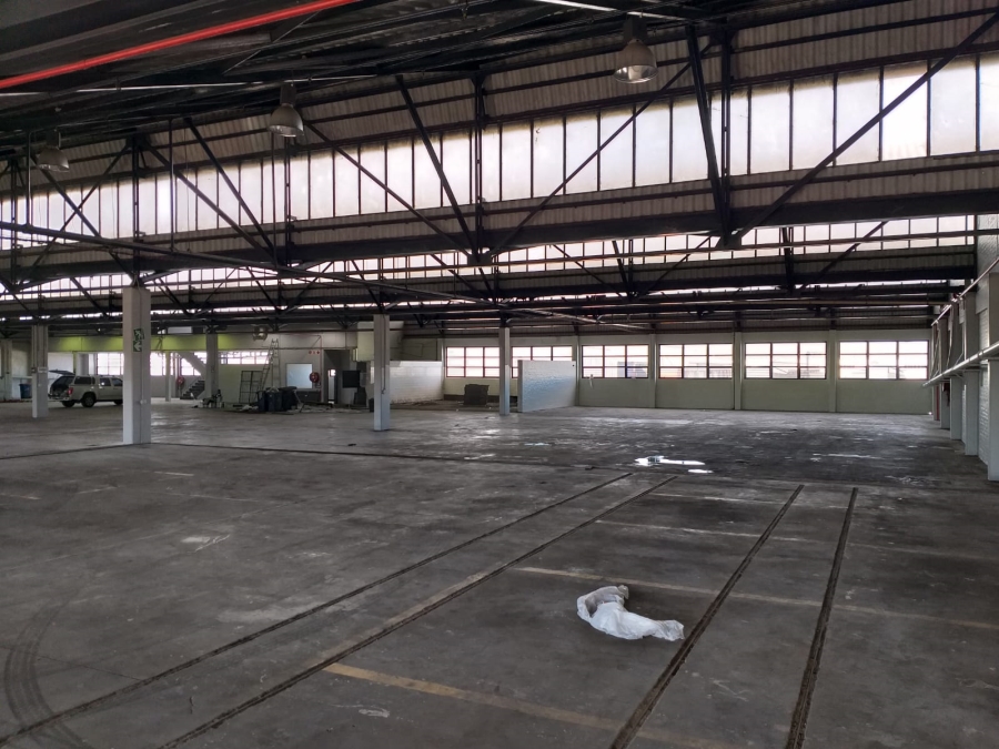 To Let Commercial Property for Rent in Paarden Eiland Western Cape